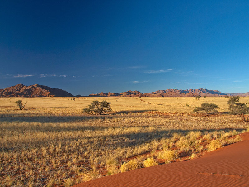 Sossusvlei
